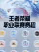 【九游带你了解】王者荣耀职业联赛赛程来啦！截图1