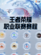 【九游带你了解】王者荣耀职业联赛赛程来啦！