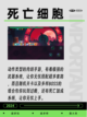 🔥2024热门游戏手游排行榜📈，火爆游戏一网打尽！🎉截图4