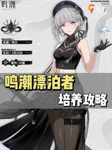 《鸣潮》漂泊者培养攻略来啦！ 🌊✨截图1