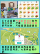 ✨🍵 心动小镇下午茶制作攻略✨截图4