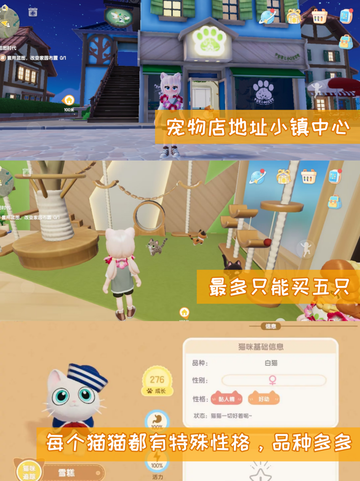 心动小镇怎么领养第二只猫？🐱领养攻略分享截图4