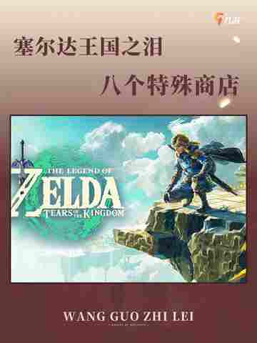 王国之泪八个特殊商店🎮探秘指南截图1