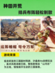 👑三国群英传鸿鹄霸业带你争霸三国，谁主沉浮？🏰截图5