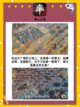 战火重燃！这几款战争游戏你玩过吗？🔥截图3