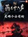 🎮【九游带您了解燕云十六声是哪个公司的？】🔍