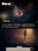 Steam游戏开售表Milord登顶截图7