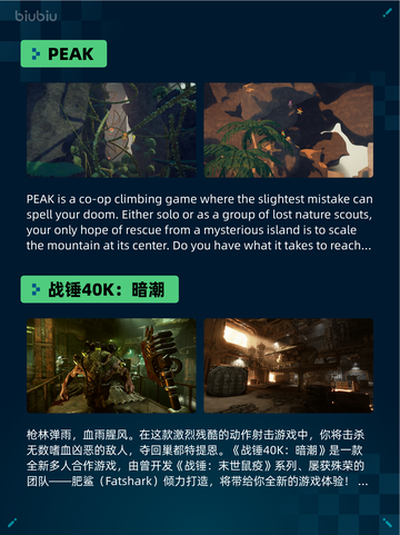 🔥Steam热销游戏榜PEAK登顶💥截图2