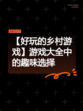 【好玩的乡村游戏】游戏大全中的趣味选择