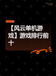 【风云单机游戏】游戏排行前十
