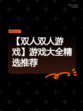 【双人双人游戏】游戏大全精选推荐