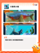 【鱼吃鱼的游戏】游戏排行前列的热门选择截图2