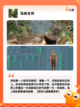 【单机沙盒游戏】游戏大全：沉浸式体…截图7