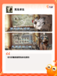 【生存类游戏手游】游戏排行前十曝光截图8