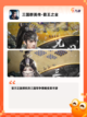 玩转【三国类国战手游】手游大全精选截图5