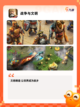 【好玩的军事游戏】游戏推荐合集截图5