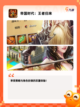 【0元氪金的手游】手游大全：精选合集截图8