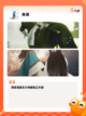 【中国风解谜游戏】手游排行榜单截图9