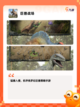 手游大全之【类似怪猎的游戏】精选截图6