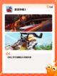 【豪车游戏下载】手游大全让你畅享驾驶乐趣截图5