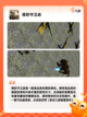 必玩【放置类塔防手游】手游推荐精选截图6