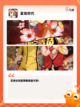 【经济类游戏】游戏推荐让你体验商业…截图6