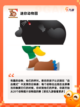 【动物园的游戏】游戏大全中的趣味体验截图5