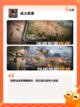 【真实版游戏】游戏排行揭晓最受欢迎大作截图6