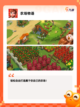 【农场种菜的游戏】游戏大全截图4