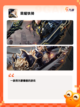 【打国战的游戏】手游排行精选截图9
