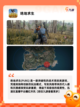 【高画质生存手游】手游推荐热门精选截图6