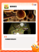 发现【治愈系手游】手游大全中的乐趣所在截图7