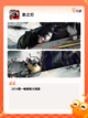 【横版的游戏】游戏排行前十截图7