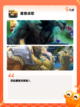 【关于魔兽的游戏】游戏推荐经典之作…截图5