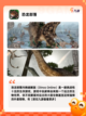 【恐龙小游戏】手游大全推荐必玩款截图3