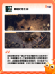 【荒野生存的游戏】游戏大全中的热门选择截图7