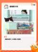 【养小猫的游戏】游戏大全让你体验萌宠乐趣截图3
