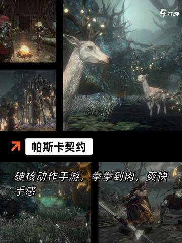 【魂系游戏推荐】手游排行中的经典生存截图2