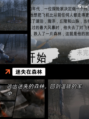 【森林游戏】游戏排行前的生态挑战截图4