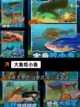 【鱼类游戏大全】游戏排行等你来战截图3