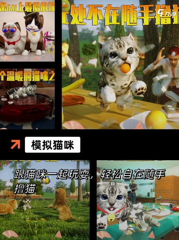 【扮演猫的游戏】游戏大全里的模拟猫咪生活截图2
