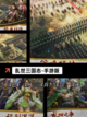 【三国闯关游戏】游戏推荐带你体验经典截图4
