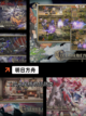 【权威的游戏】手游排行分析截图4