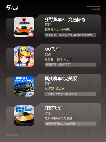 【极品赛车游戏】游戏排行前十截图2