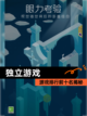 【独立游戏】游戏排行前十名揭秘截图1
