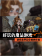 【好玩的魔法游戏】游戏推荐让你畅爽体验