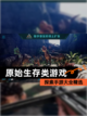 探索【原始生存类游戏】手游大全精选截图1