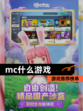 【mc什么游戏】游戏推荐榜单