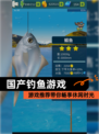 【国产钓鱼游戏】游戏推荐带你畅享休闲时光