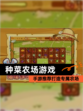 【种菜农场游戏】手游推荐打造专属农场